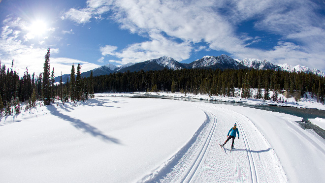 Cross-country skier in a winter landscape Cross-country skier in a winter landscape